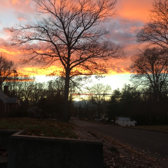 Meet your Posher, Trisha - Picture 1 of 1